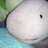 hoboksk's profile image