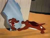 kyle_hooman's profile picture. Daddy Bear. Pup trainer/handler/dad. Hypnotist. Dom. Big. Mentor. Free hugs, etc. TG: @KyletheHooman. Over 40. Consent=must! @lightsoutDC