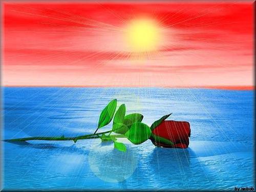 miladakhir's profile picture. املؤوآ صحآئفَكم بنوآيَـآ الخيرِ مآ حيّيتُم ..!

فإنّهآ ينآبيعٌ تتدفّق بالأجُورِ ..

و إن طرحكُم آلمرَض أو تخطفتكم يد آلمنون !