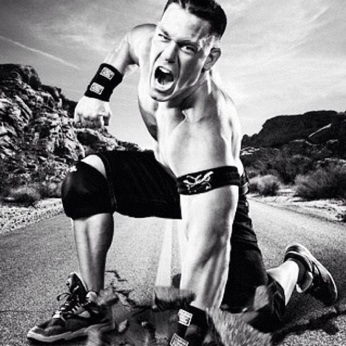 itsBoBo9's profile picture. 18 Years old im the ultimate @JohnCena Fan ! i just tweet #wwe !! hit the follow botton i follow back 100%