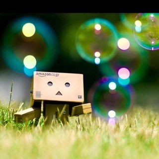 dory12_dory's profile picture. 