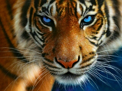 RightnoW80's profile picture. 끝날때 까진 끝난게 아니다 - 요기베라