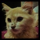 Rhool - @lai_tu - Twitter