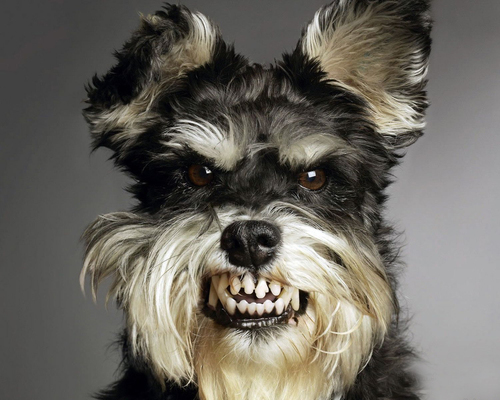 wfertorres's profile picture. 