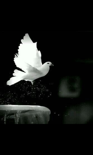 sosyta11's profile picture. 