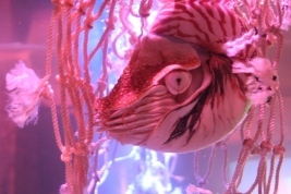 TKrausch's profile picture. Meister aller Klassen