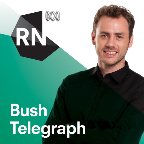 Bush Telegraph on RN is an in depth look at rural and regional stories around Australia. This is an official @abcaustralia account.