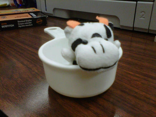 stephy417's profile picture. 