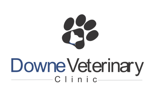 downevet's profile picture. Mixed-practice Veterinary Surgeons based in County Down since 1860.