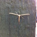 Daniel Fleury - @Daniel_Fleuey - Twitter