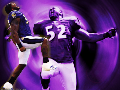 Bleed_Purple37's profile picture. Diehard Ravens fan! Bleed purple and black
