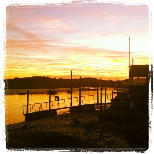 TrickyWivenhoe's profile picture. 