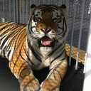 Janice Grantham - @jgranth1 - Twitter