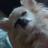 keiko0728's profile image