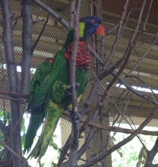 VwGriselda's profile picture. 