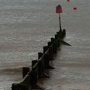 Marilyn Gandy - @GoGees1 - Twitter