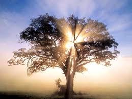There are 86,400 seconds in a day, how do you spend yours?