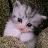 phoo_33's profile image