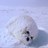 acchaan_ma's profile image