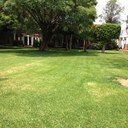 Edna Mackey - @edna_mackey - Twitter