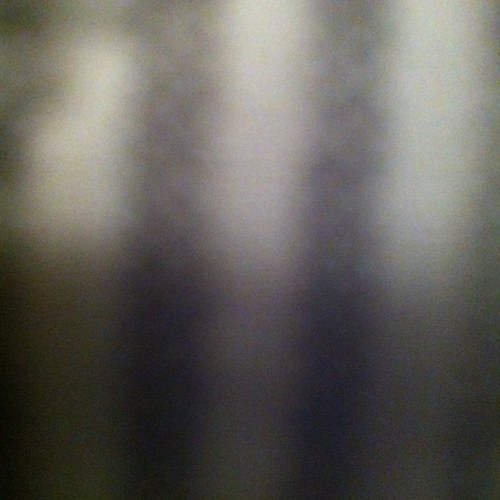 hornygirls95's profile picture. 