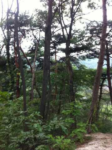 jjanggn2003's profile picture. 이또한 지나가리라~~~