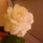 MineTuredi's profile image