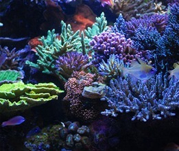 robertwalsh's profile picture. 