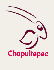 Te informamos sobre las opciones en eventos, cultura y diversión en la zona de #Chapultepec y sus alrededores.