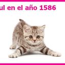 jean paul benavides  - @CuevaJean - Twitter