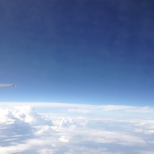 dee_gravitt's profile picture. 