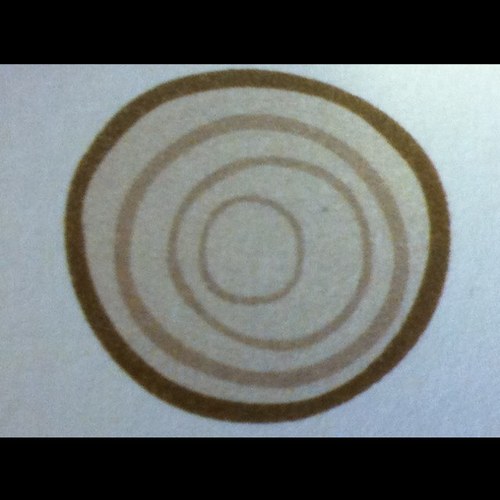 timbersale's profile picture. 0116 260 4886