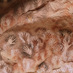 Cueva de las Manos (@cuevadelasmanos) Twitter profile photo Cueva de las Manos (@cuevadelasmanos) Twitter profile photo