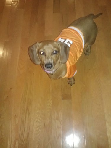 Mindy74's profile picture. 