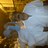fran21_lucena's profile image