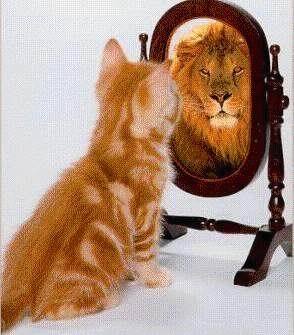 Looking for people who have Chiari, EDS, IH, etc. especially in the CSRA and Georgia. http://t.co/cIw8HGos1L
