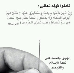 hnht11's profile picture. 