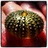 Josep Ortega Segura (@amicvirtual) Twitter profile photo