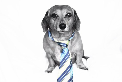 shortcakev56's profile picture. 