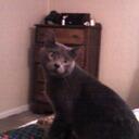 Lisa Wigger - @lwigger - Twitter