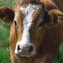 George Chalmers - @GCChalmers - Twitter