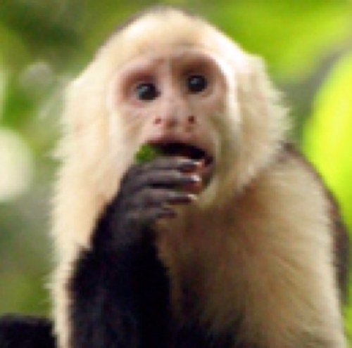 Brannon_14's profile picture. I am a professional noun.