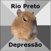 capivara