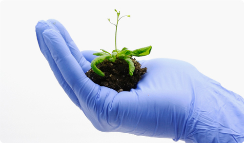 NEfoodRecruitme's profile picture. Placing candidates who aspire to grow their career and have the drive. Delivering the finest quality jobs from out clients.