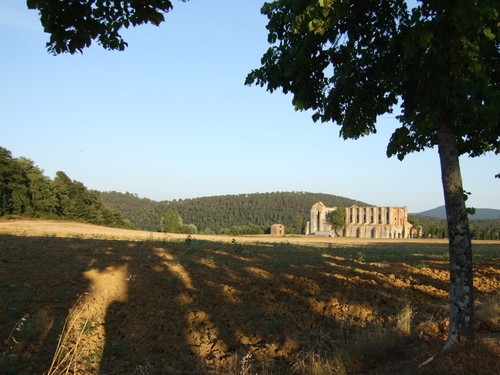 CeciliaQue's profile picture. 