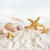 Vronki (@vronki) 's Twitter Profile