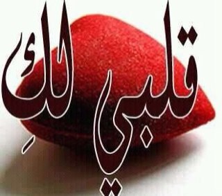 alzubaidi13's profile picture. 