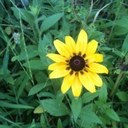 Lisa Mcelroy - @mommamc12345 - Twitter