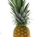 Matt Byers - @MattCoolKid - Twitter