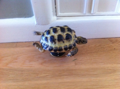 cdp7475's profile picture. 